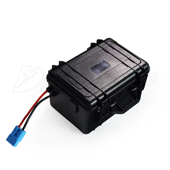 Waterproof 8s BMS 24V 100ah LiFePO4 Lithium Battery for Boat Solar RV Camping Car
