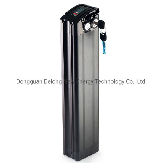 High Capacity Lithium Battery 48V 17.5ah Electric Bike Battery Silver Fish Type Battery with Charger