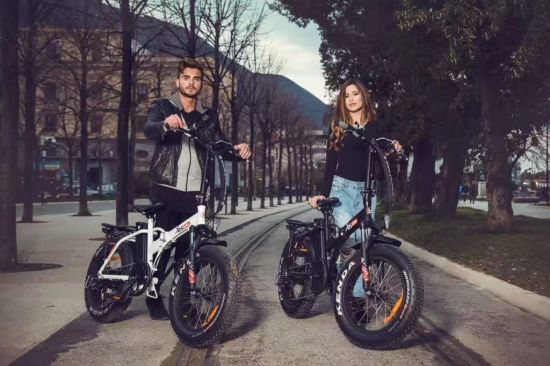 Wholesale Silverfish 48V 20ah 25ah 30ah Electric Bike 750W 1000W 2000W Ebike Lithium Battery
