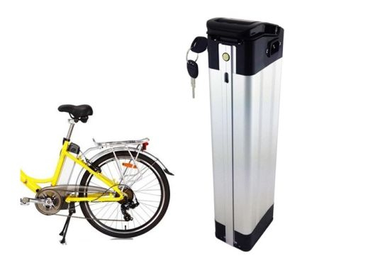 48V 20ah Silverfish Battery 48V 18ah Lithium Ion Battery Pack for 1000W Ebike Motor