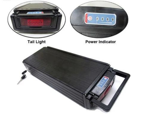 Factory Price 48V 20ah 1000W Bicycle Battery Electric Bike Battery for Ebike