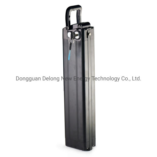 Rechargeable 48V 20ah Silver Fish Lithium II Ion Battery
