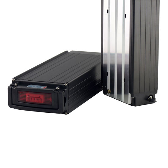 Rechargeable 48V 20ah Lithium Battery for 1000W Electric Bicycle
