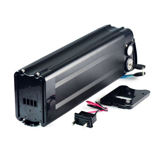 Silverfish Type 48V 20ah Bike Battery with Lithium Ion 18650 Battery for E Bike