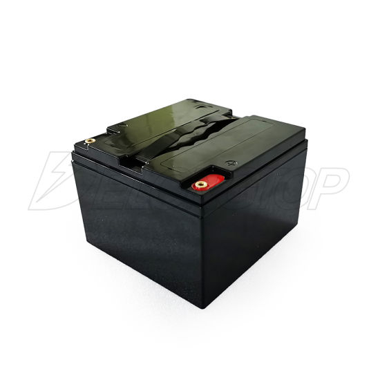 Customized 12V 25ah Lithium Iron Phosphate Rechargeable LiFePO4 Battery Pack Build with Lead Acid Battery Case