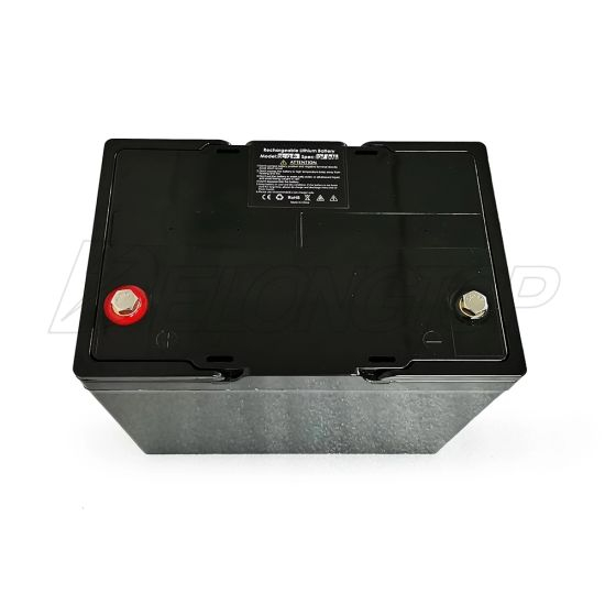 Portable Lithium Ion LiFePO4 Battery 4s2p Pack 12V 100ah