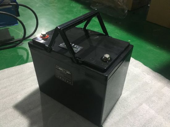 Portable Lithium Ion LiFePO4 Battery 4s2p Pack 12V 100ah