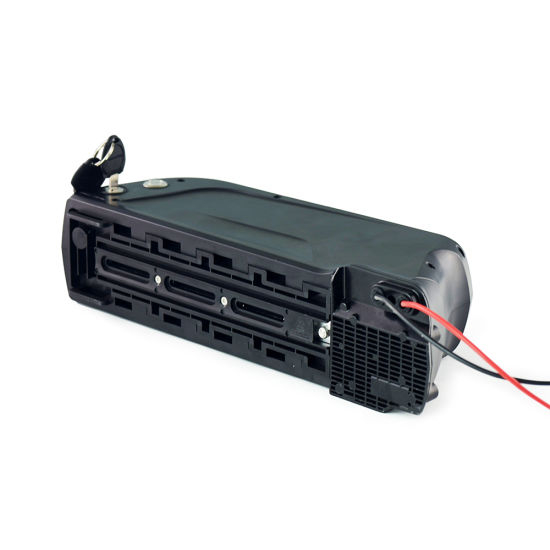 48V 10ah Lithium Ion Battery for Electric Bike