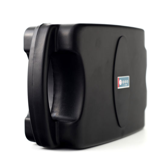 Small Frog E-Bike Battery 24 Volt Lithium Battery Pack