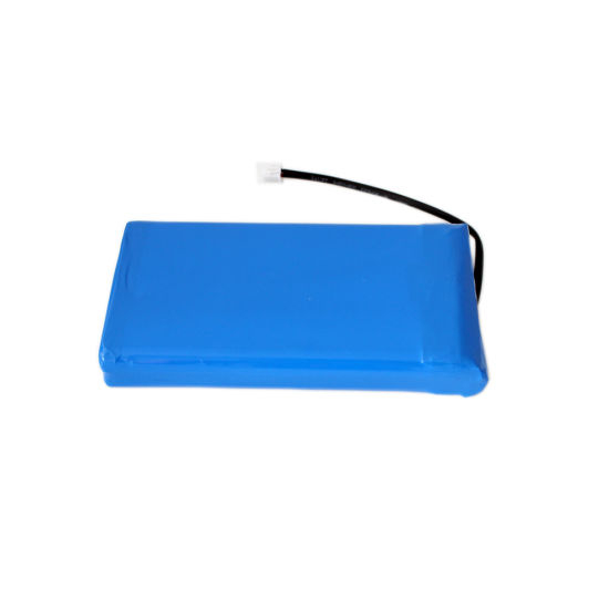 High Capacity Li Polymer Battery Dongguan Manufacturer