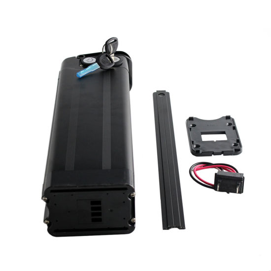 Hot Selling in Israel 48V 10ah Electric Bike Battery with USB for Ebike