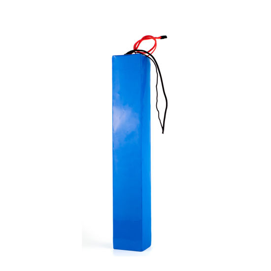 Customized 48V/36V 10ah Lithium Ion Battery Pack