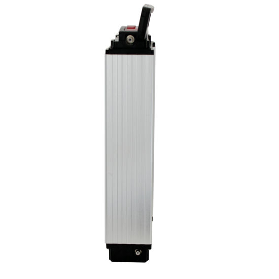 Electric Bike Accessories 36V Rear Rack Battery Pack with Charger