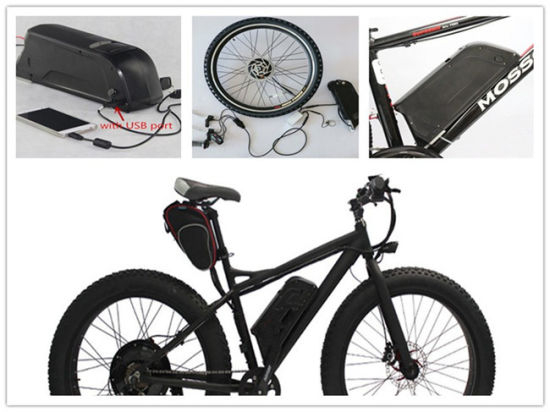 Dolphin Battery Down Tube Type Ebike Bicycle Lithium Battery 48V 13ah Lithium Battery