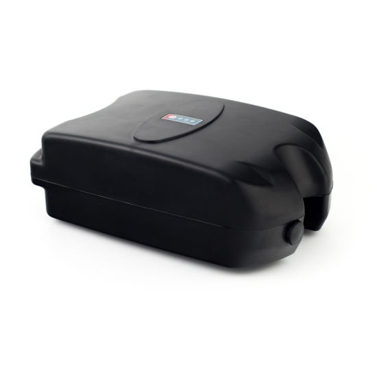 Frog Type E-Bike Battery Pack 24V 10ah for Electric Scooter Motorcycle