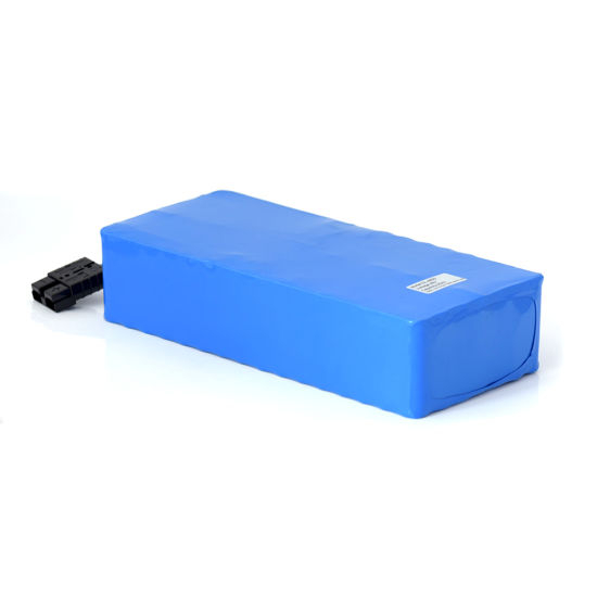 13s 8p Electric Bike Battery 48V 20ah 1000W for Rickshaw