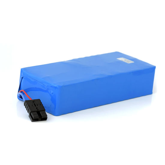 13s 8p Electric Bike Battery 48V 20ah 1000W for Rickshaw