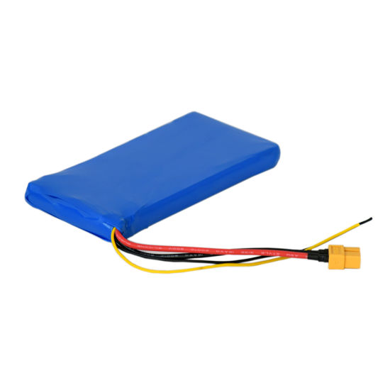 3.7V Lithium Ion Battery for Digital Devices