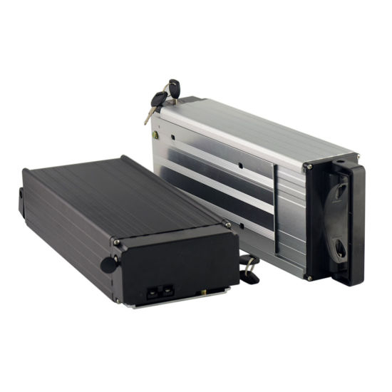 48V 20ah Lithium Ion Battery Pack for Electric Bike/ Vehicle
