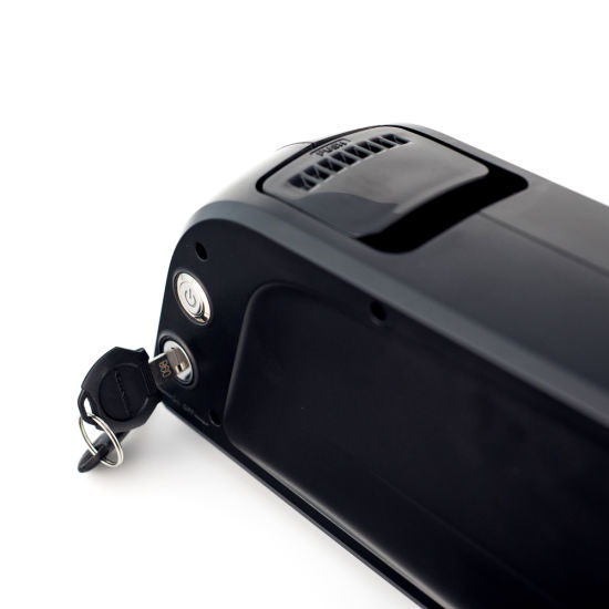E-Bike Battery Pack Samsung/Panasonic Dolphin Lithium Battery Rechargeable Ebike Battery