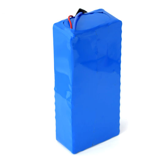 Manufacture Price 48V 20ah Deep Cycle Lithium Ion Battery Pack