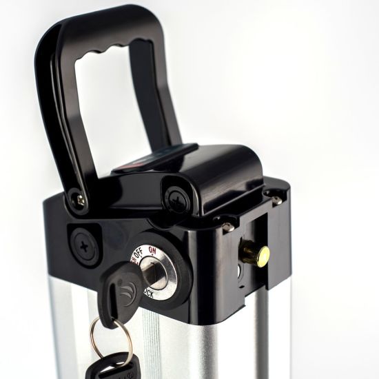 Electric Vehicle Polymer Lithium Ion Battery for Mountain Bike