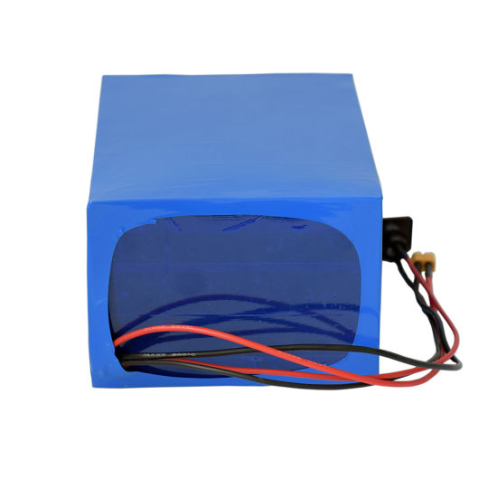 Rechargeable LiFePO4 Battery 48V 40ah for LED Bulb
