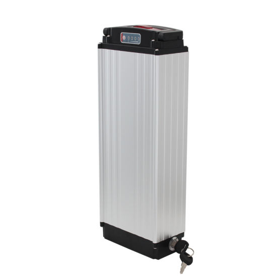 Factory Customized Direct Sale 48V 20ah Rear Rack Li Ion Electric Bike Battery with Charger