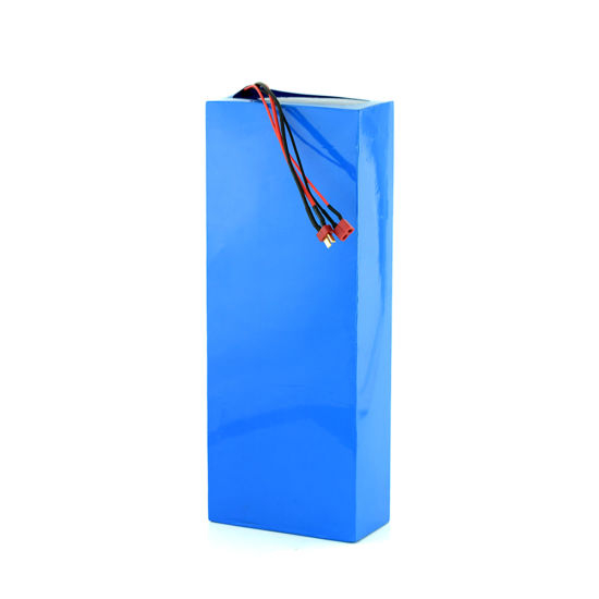 24V 40ah Lithium Ion Battery Pack for EV Car