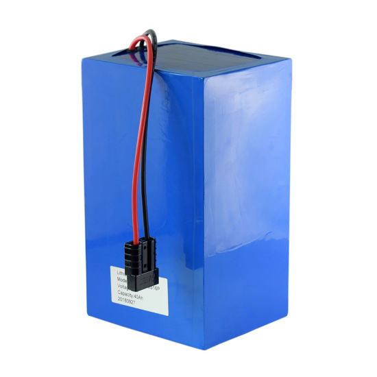48V 40ah Lithium Ion Battery Pack