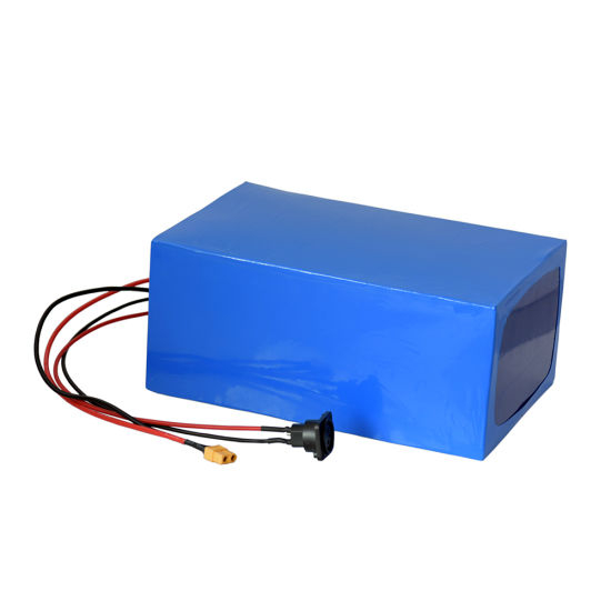 48V 20ah Lithium LiFePO4 Battery Pack for Power 1000W E-Bike