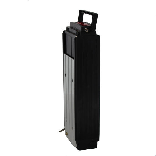 48V 20ah Li-ion Battery for Electric Bicycle with LED Light