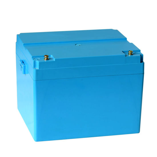 DC12V Customized LiFePO4 Cell Battery Pack with BMS and Protective Case