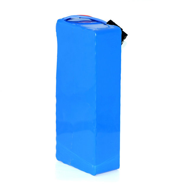 Manufacture Price 48V 20ah Deep Cycle Lithium Ion Battery Pack