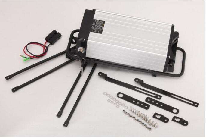 1000W 48V 20ah Rear Rack Lithium Ion Battery for Electric Bike