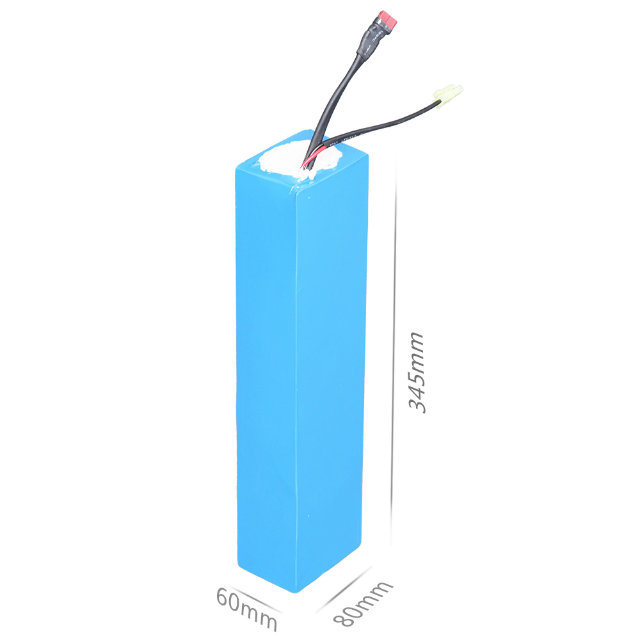 Electric Vehicle Battery Pack 48V LiFePO4 Battery China Supplier
