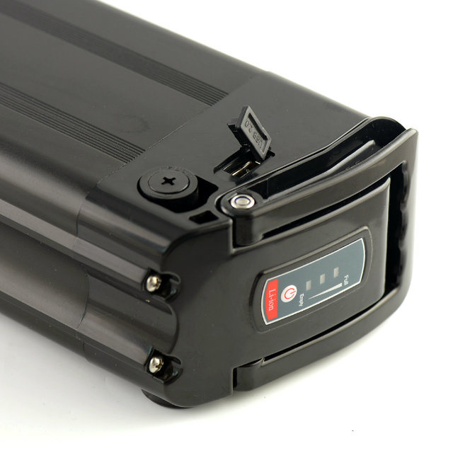 Rechargeable Silver Fish 48V 15.6ah 1000W Electric Bike Battery with 4A Charger