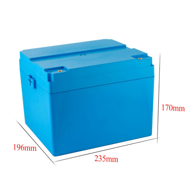 Rechargeable Lithium 12V 100ah LiFePO4 Battery for Solar Storage Electric Vehicle Batteries