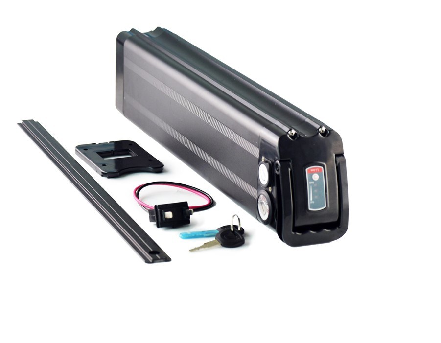 Li-Po Battery 48V12ah BMS and Charger for E-Bike