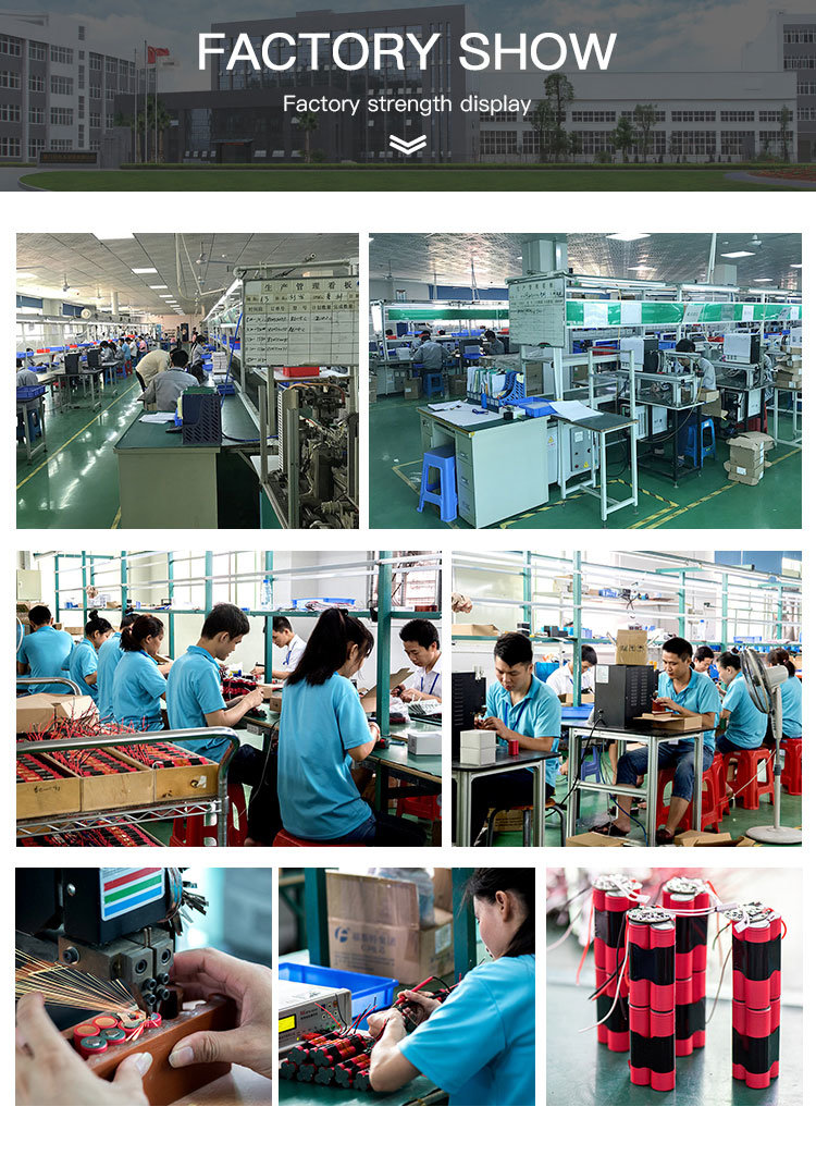 Factory Price Rechargeable 12volt 20ah 18650 Lithium Ion Battery Pack for Spraying Machine Electric Tools Batteries