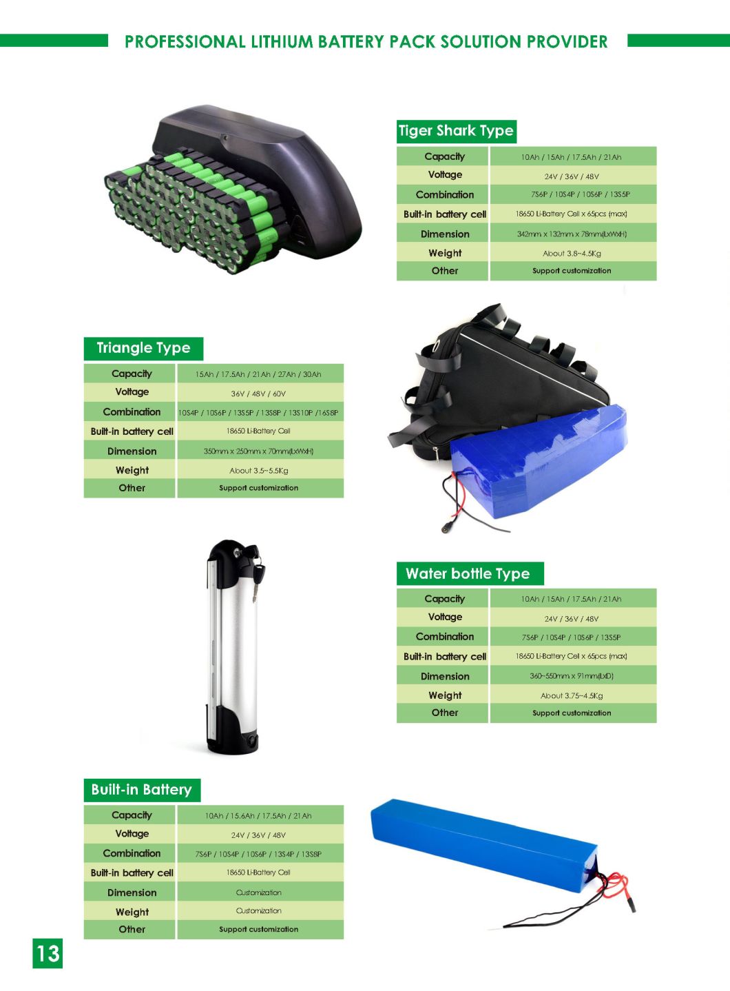 48V 15ah Hailong Ebike Battery Pack for 48V 750W 1000W Electric Bicycle