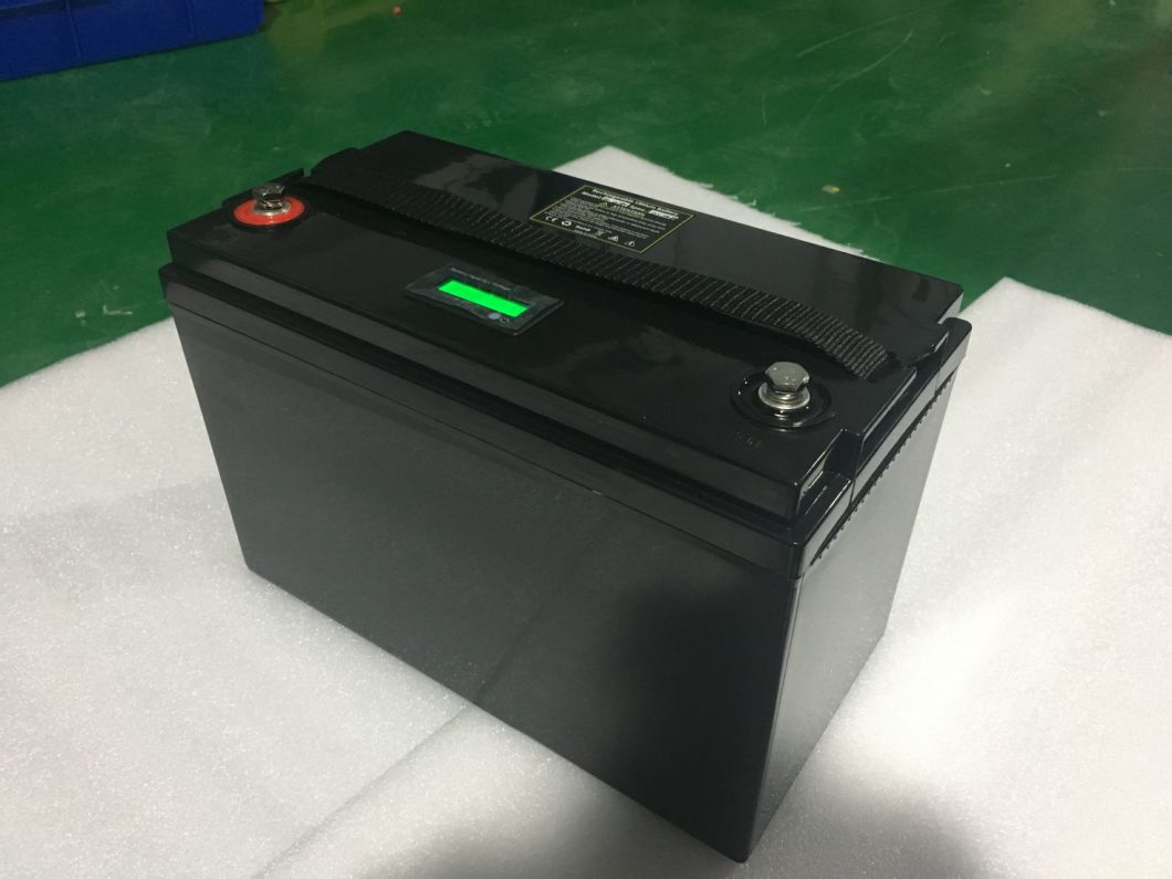 Portable Lithium Ion LiFePO4 Battery 4s2p Pack 12V 100ah