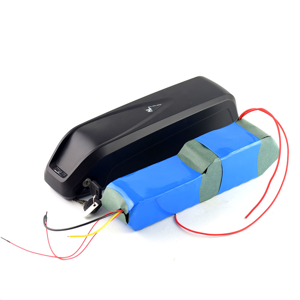 Hailong Electric Scooter Ebike Battery 36V 48V 15ah 20ah Lithium Ion Electric Bicycle Battery for Electric Bike