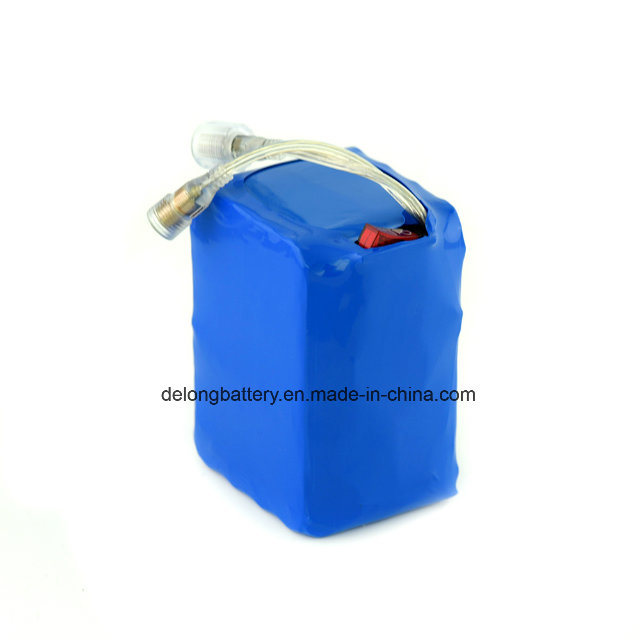 18650 Lithium Ion Battery Pack 6s4p for LED Light