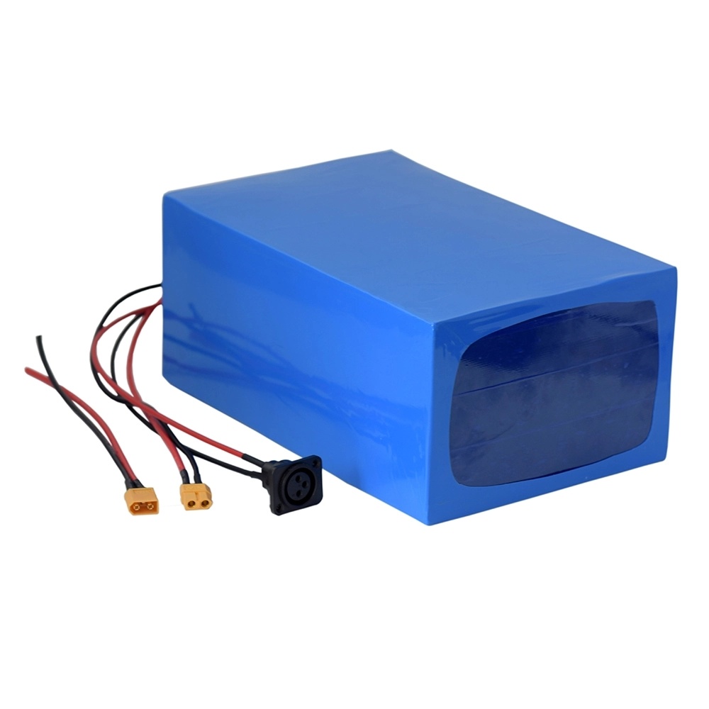 48V 40ah 1000W LiFePO4 Lithium Polymer Battery Pack for Electric Vehicles