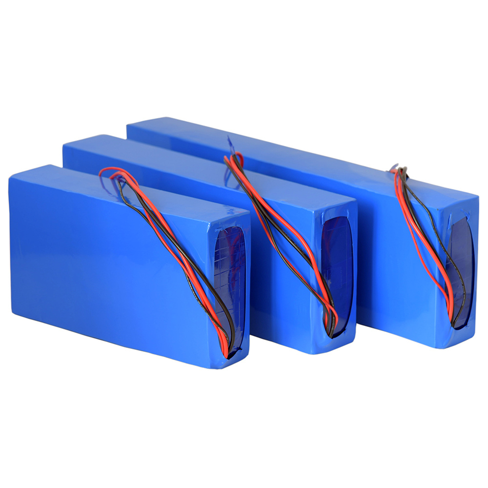 OEM Customized Rechargeable Lithium Ion Battery Pack 48V 20ah 30ah 40ah Li Ion Battery