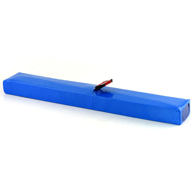 48V 10ah Rechargeable Lithium Ion Battery Pack