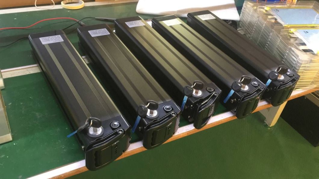 Rechargeable Lithium Battery 48V 10ah 15ah for 500W Ebike Scooters Akku