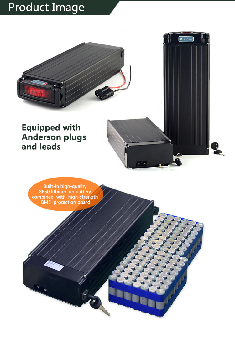 Rear Rack Type Battery 48V 20ah Lithium Ion Electric Bike 48V 1500W Ebike Battery for E-Bike