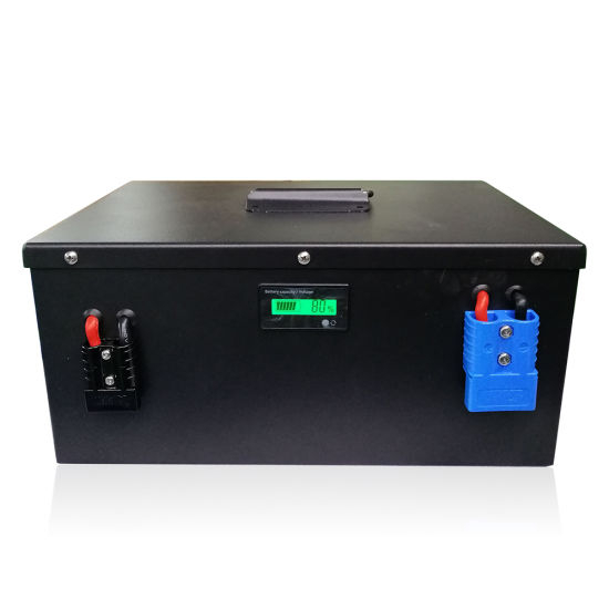 2000 Times Deep Cycle Lithium Battery Pack 24V 100ah with BMS